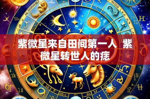 紫微星来自田间第一人 紫微星转世人的痣