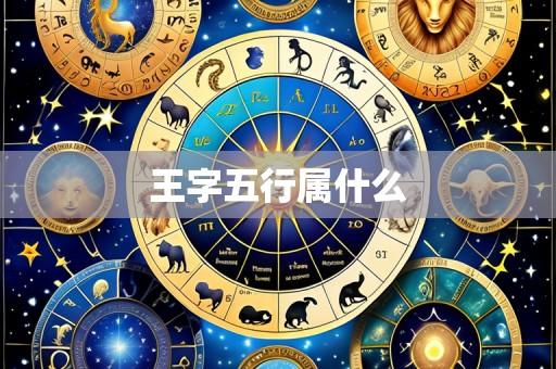 王字五行属什么