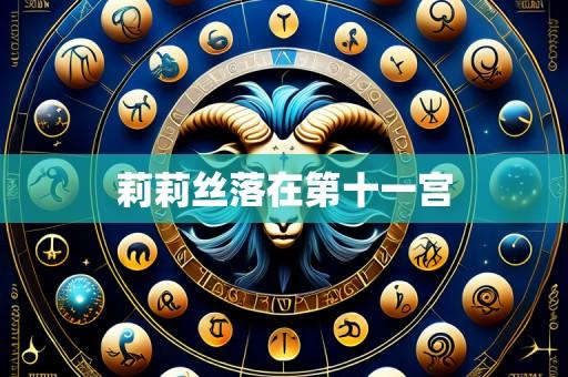 莉莉丝落在第十一宫
