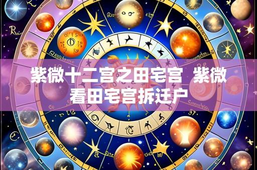 紫微十二宫之田宅宫 紫微看田宅宫拆迁户