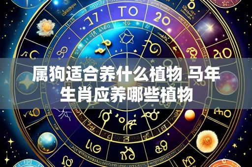 属狗适合养什么植物 马年生肖应养哪些植物