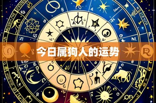 今日属狗人的运势