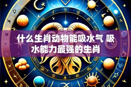 什么生肖动物能吸水气 吸水能力最强的生肖
