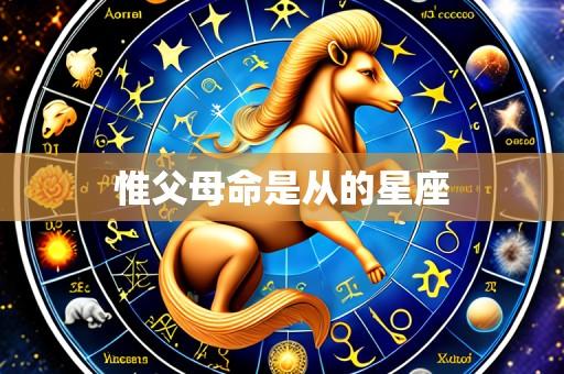 惟父母命是从的星座