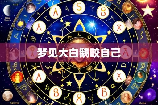 梦见大白鹅咬自己