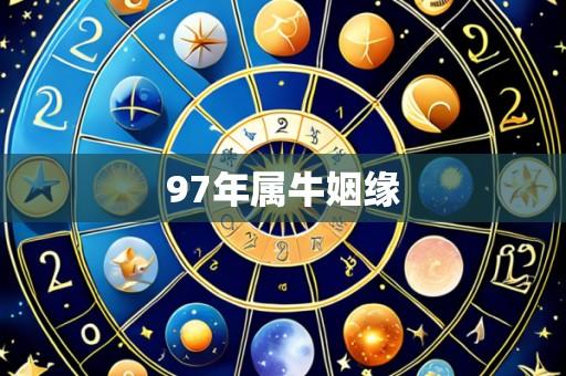 97年属牛姻缘