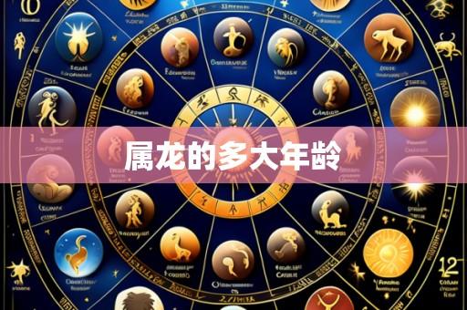 属龙的多大年龄