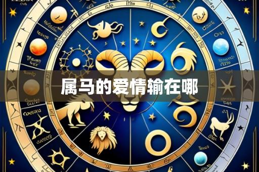 属马的爱情输在哪