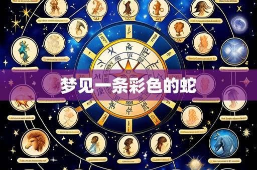 梦见一条彩色的蛇