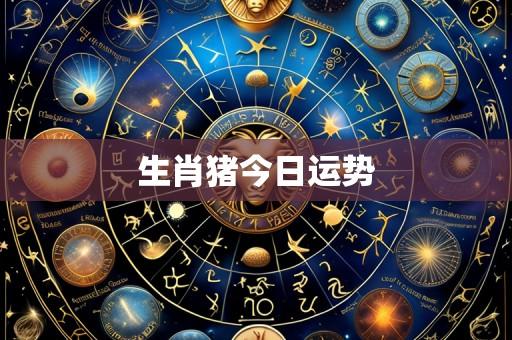 生肖猪今日运势