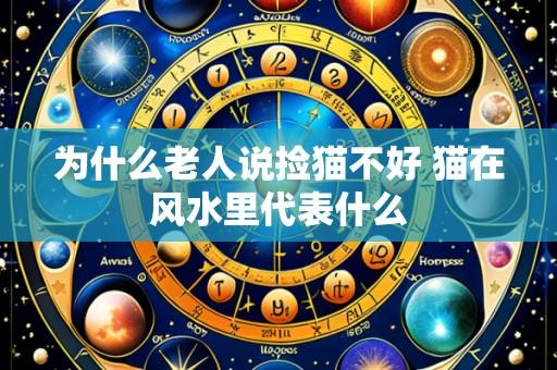 为什么老人说捡猫不好 猫在风水里代表什么
