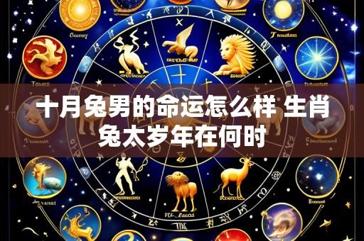 十月兔男的命运怎么样 生肖兔太岁年在何时
