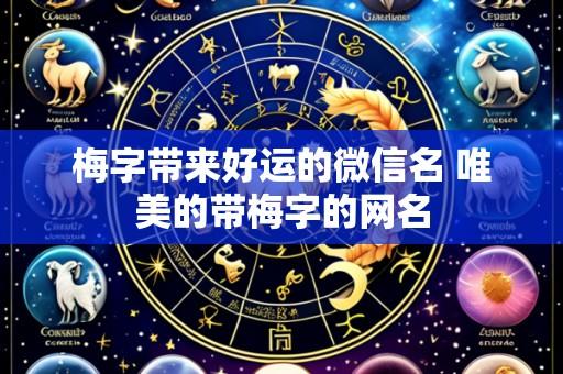 梅字带来好运的微信名 唯美的带梅字的网名