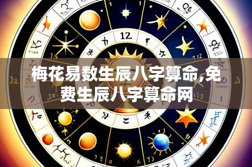 梅花易数生辰八字算命,免费生辰八字算命网
