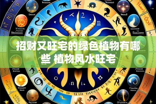 招财又旺宅的绿色植物有哪些 植物风水旺宅