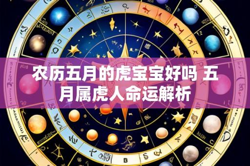 农历五月的虎宝宝好吗 五月属虎人命运解析