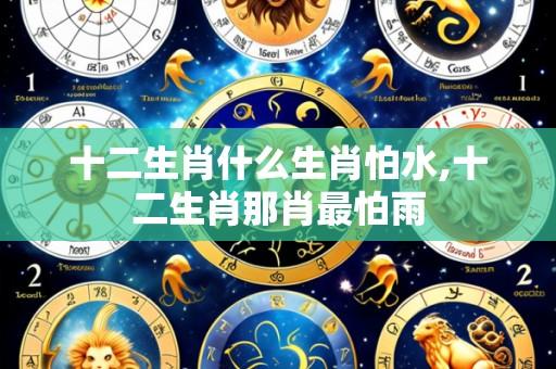十二生肖什么生肖怕水,十二生肖那肖最怕雨