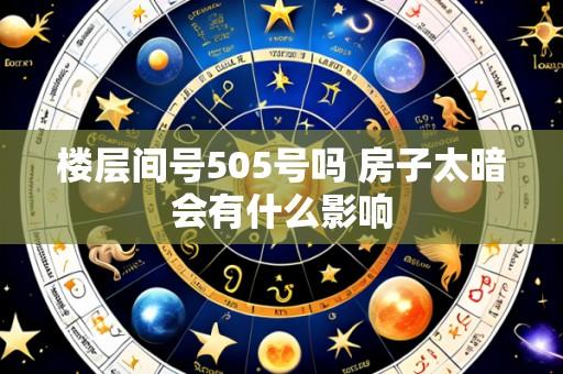 楼层间号505号吗 房子太暗会有什么影响