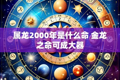 属龙2000年是什么命 金龙之命可成大器