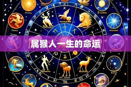 属猴人一生的命运