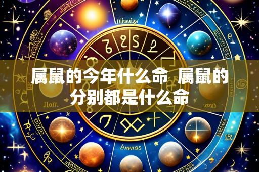 属鼠的今年什么命 属鼠的分别都是什么命