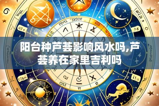 阳台种芦荟影响风水吗,芦荟养在家里吉利吗