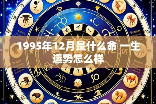 1995年12月是什么命 一生运势怎么样
