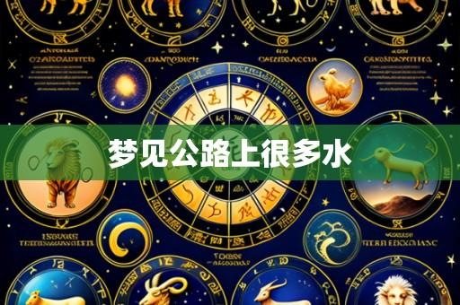 梦见公路上很多水