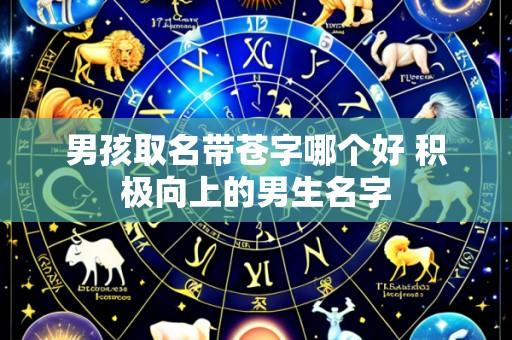 男孩取名带苍字哪个好 积极向上的男生名字