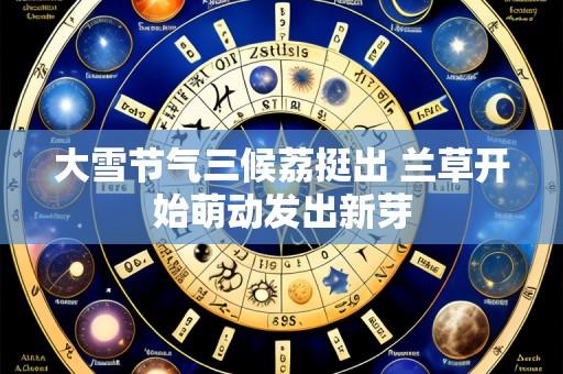 大雪节气三候荔挺出 兰草开始萌动发出新芽