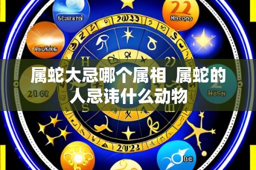 属蛇大忌哪个属相 属蛇的人忌讳什么动物