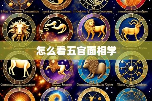 怎么看五官面相学