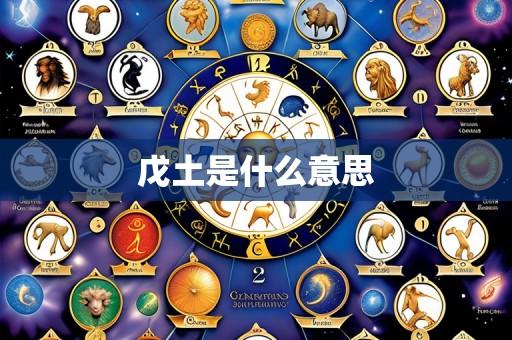 戊土是什么意思