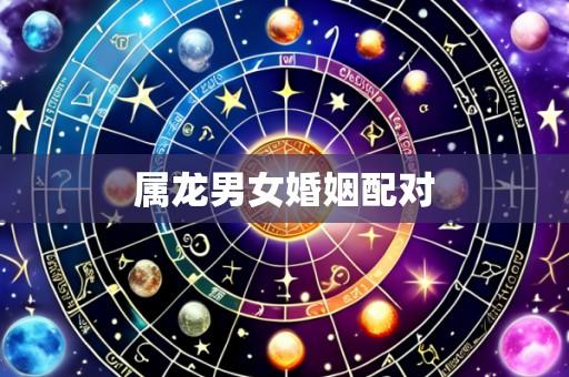 属龙男女婚姻配对