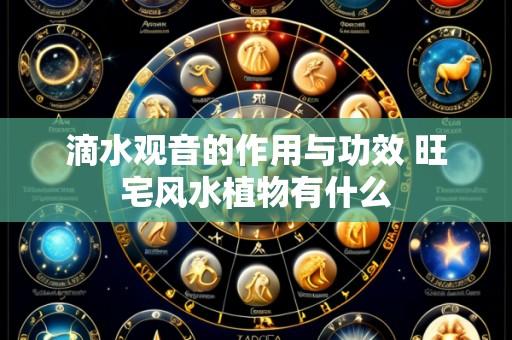 滴水观音的作用与功效 旺宅风水植物有什么