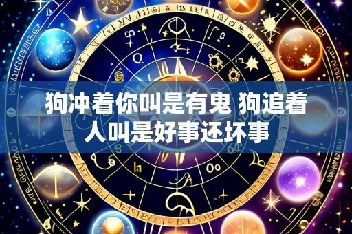狗冲着你叫是有鬼 狗追着人叫是好事还坏事