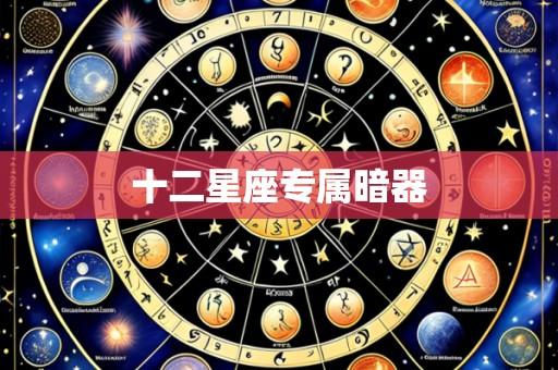 十二星座专属暗器