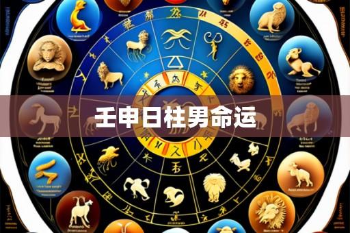 壬申日柱男命运