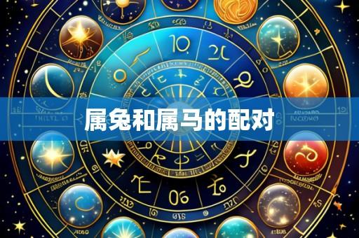属兔和属马的配对