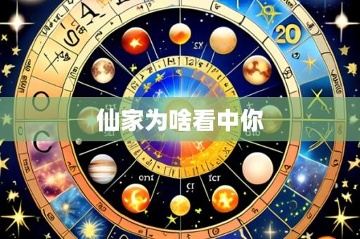 仙家为啥看中你