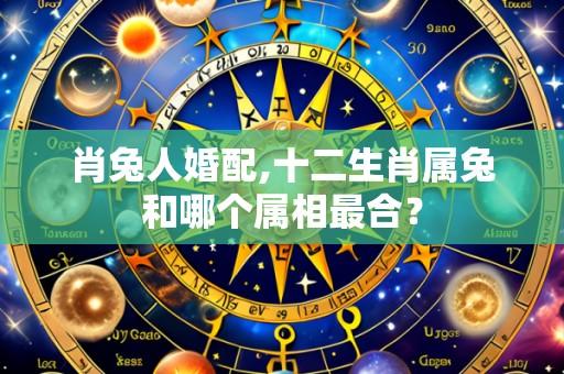 肖兔人婚配,十二生肖属兔和哪个属相最合？