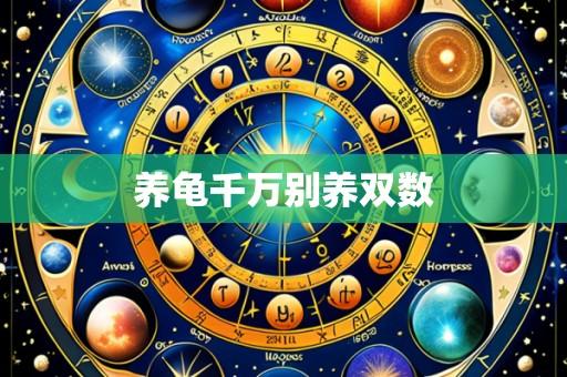 养龟千万别养双数