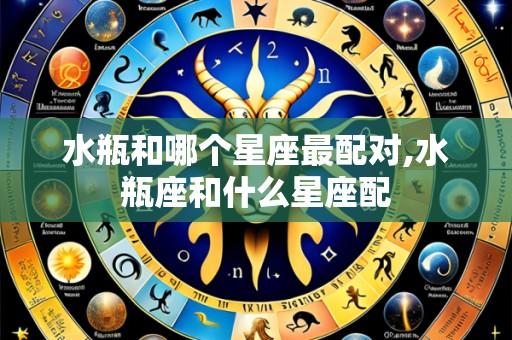水瓶和哪个星座最配对,水瓶座和什么星座配