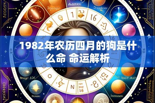 1982年农历四月的狗是什么命 命运解析
