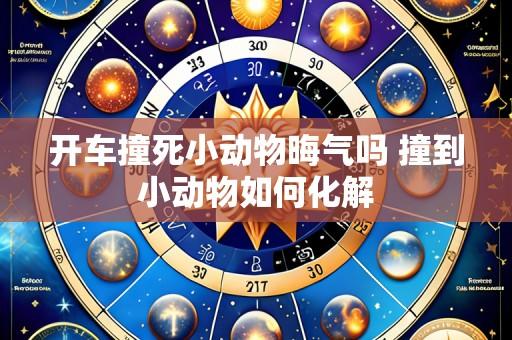 开车撞死小动物晦气吗 撞到小动物如何化解