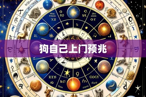 狗自己上门预兆
