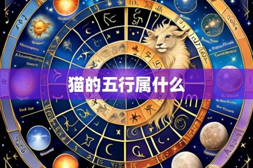猫的五行属什么