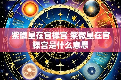 紫微星在官禄宫 紫微星在官禄宫是什么意思
