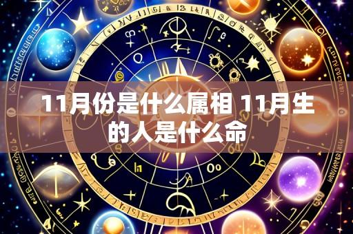 11月份是什么属相 11月生的人是什么命