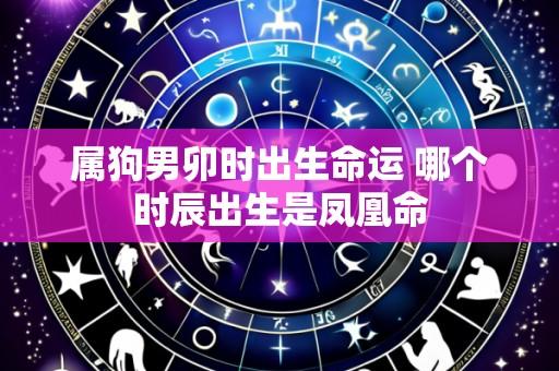 属狗男卯时出生命运 哪个时辰出生是凤凰命